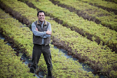 http://www.cantinhodasaromaticas.pt/loja/workshop-loja/workshop-producao-de-ervas-aromaticas-27-e-28-de-Fev-2016/