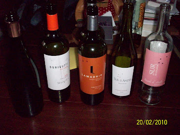 Cata de Vinos en Casa para US-SAP team G.Mills - Feb.2010