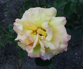 Martin In Broda Juni 2012