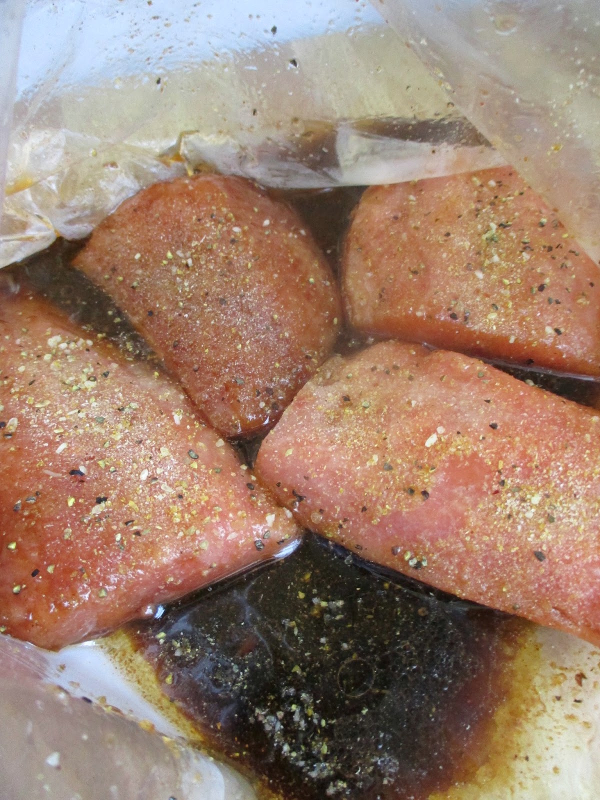 Just my Stuff Brown Sugar Soya Salmon Fillets