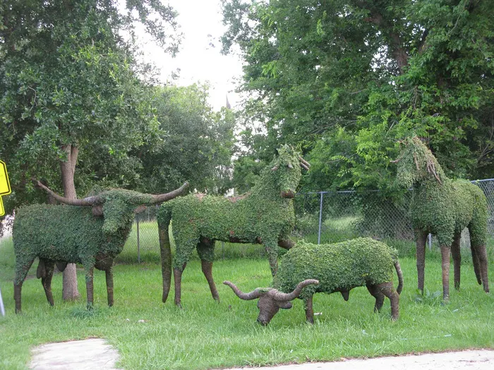 Scultura vegetale | L'arte Topiaria