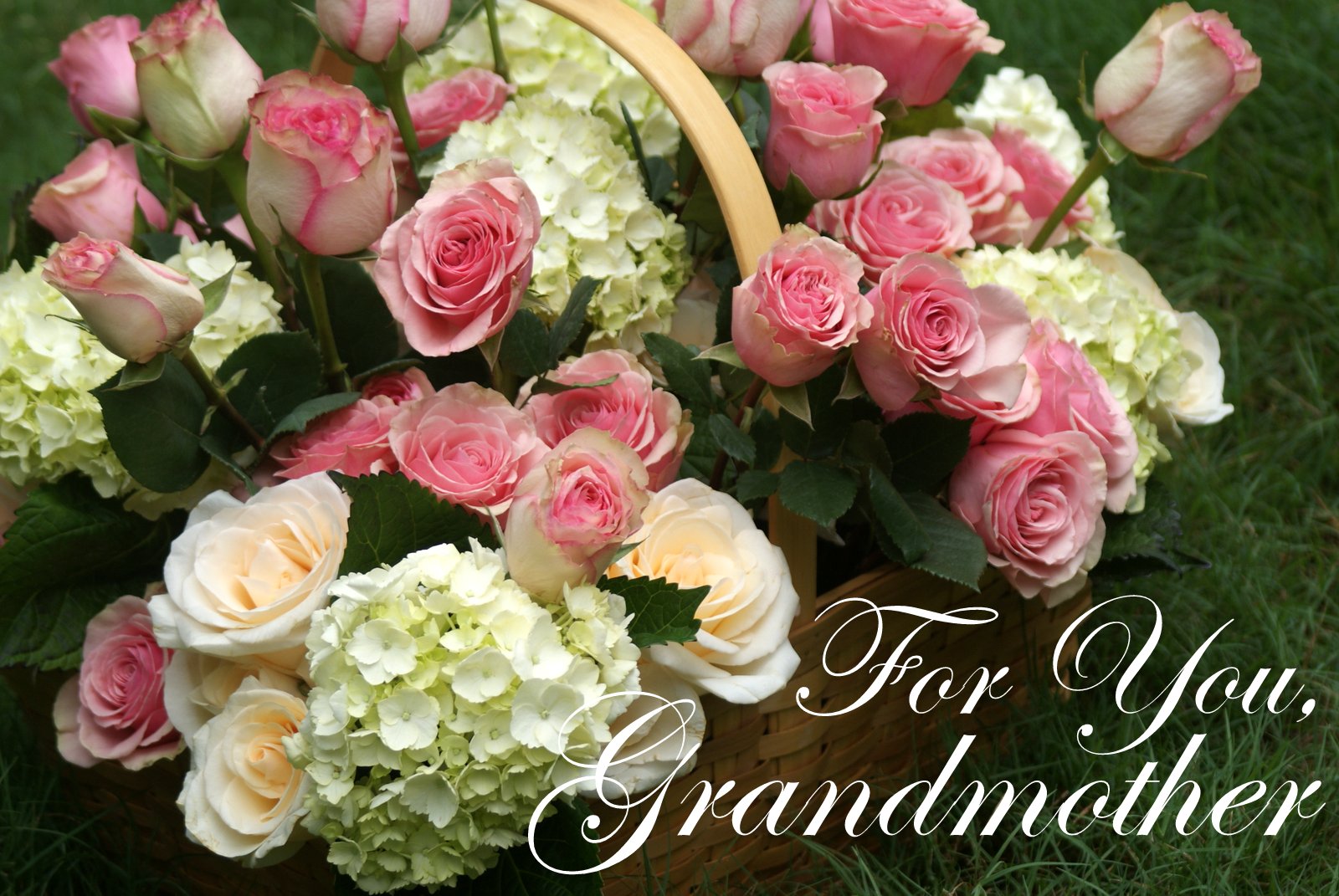 A Little Loveliness Eighty Roses