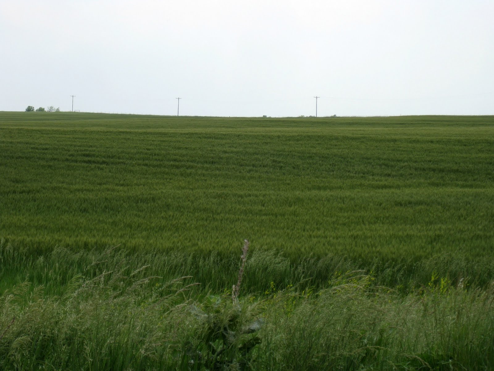 Pen in my Hand The Plains of Kansas
