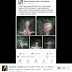 Woman discovered mysterious alien-like creature after a UFO sighting!