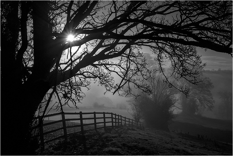 Emerging Photographers, Best Photo of the Day in Emphoka by Martin Cooper Emerging Photographers, Best Photo of the Day in Emphoka by Martin Cooper