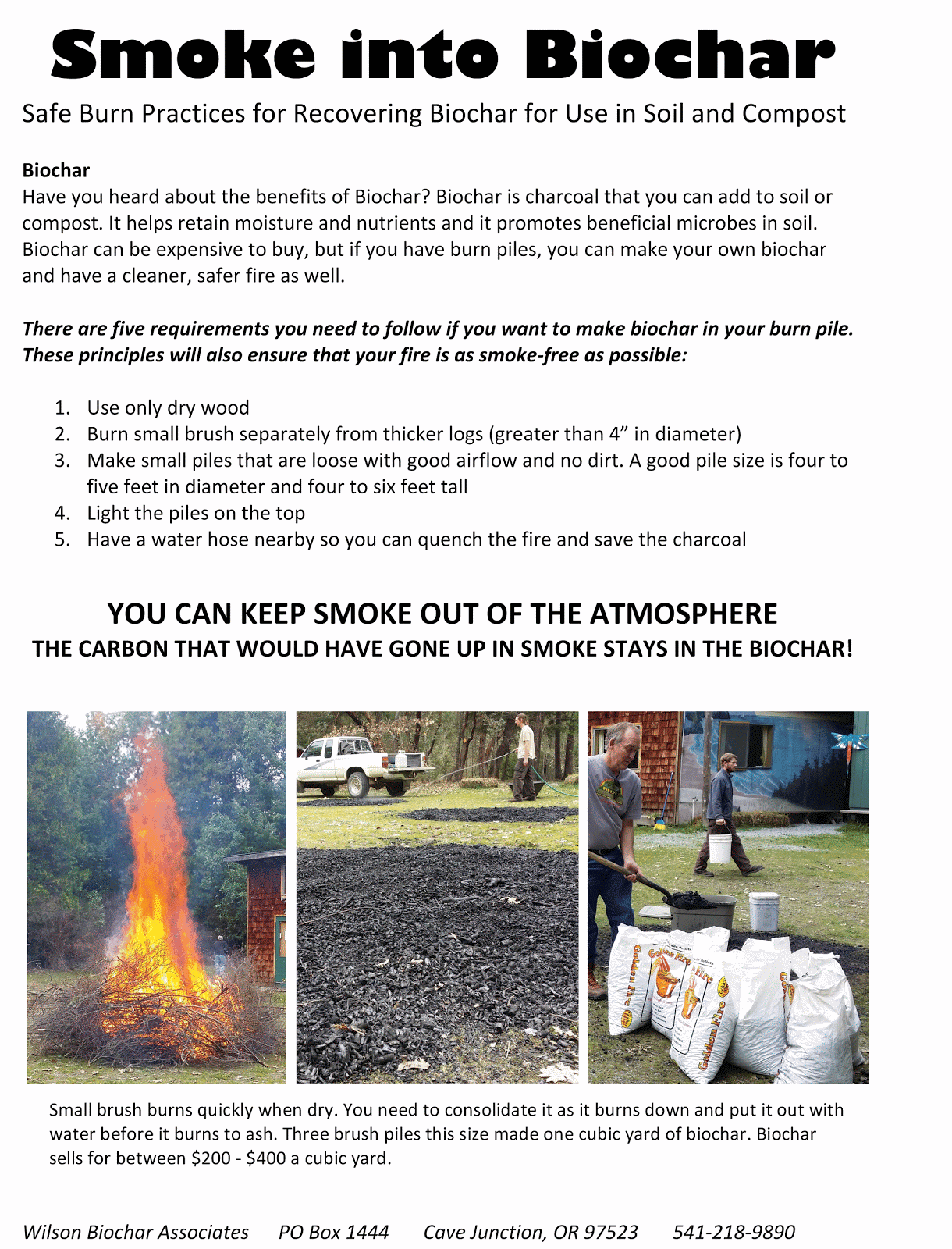 Smoke Into Biochar