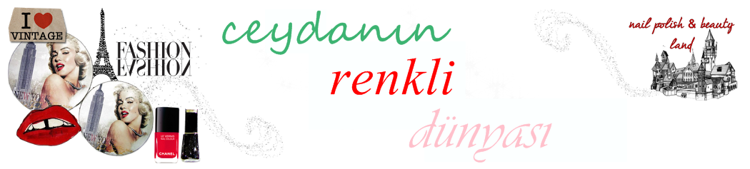 CEYDANIN RENKLİ  DÜNYASI