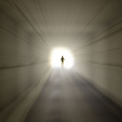 November 2014 Bebeksaurus Com