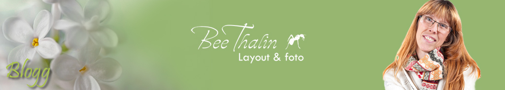Bee Thalin Layout & foto