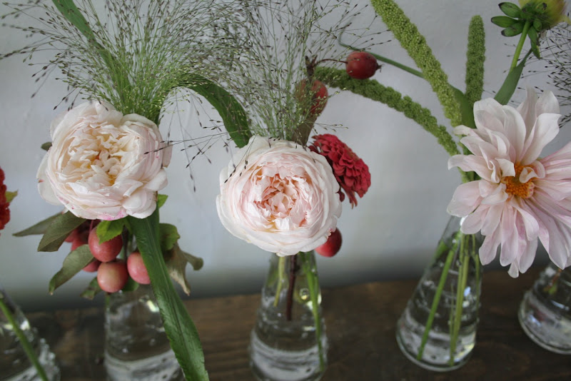 honey of a thousand flowers jen's flowers