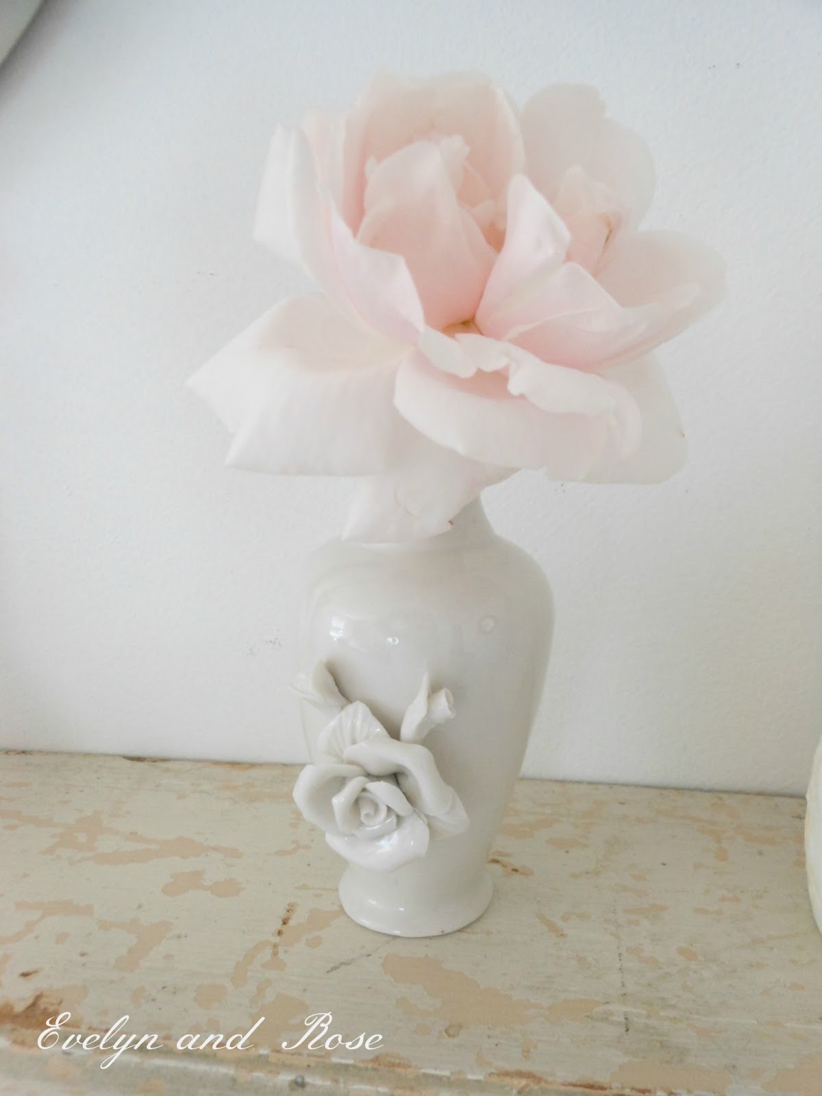 Evelyn and Rose Roses