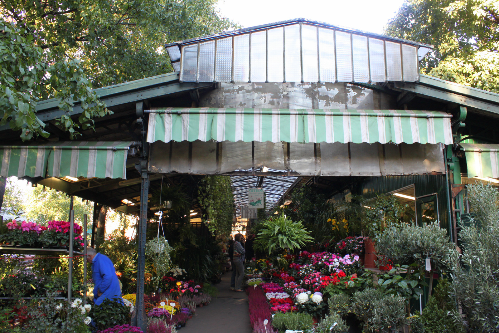 Ile de la Cité - Marché aux fleurs - Paris