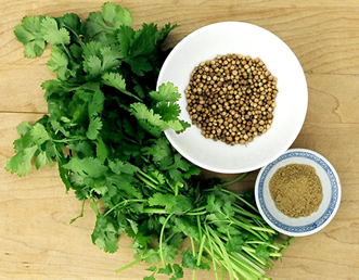 coriander.jpg