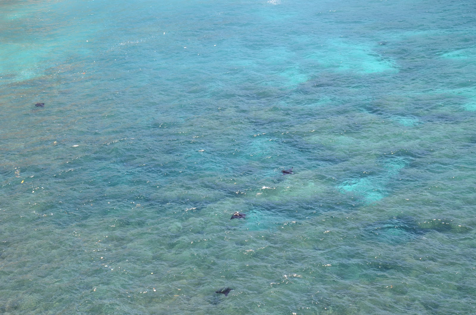 Nusa Penida Paradise Photos: Manta Point, Pasih Uug ...