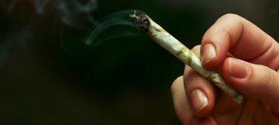 Podemos quiere legalizar el cannabis y la anulación del Concordato