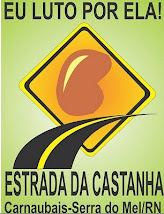 ESTRADA DA CASTANHA