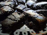 Brownies cioccolato e noci