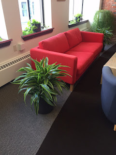 office plant leasing and rental Woburn MA;Interior landscape design Woburn MA;