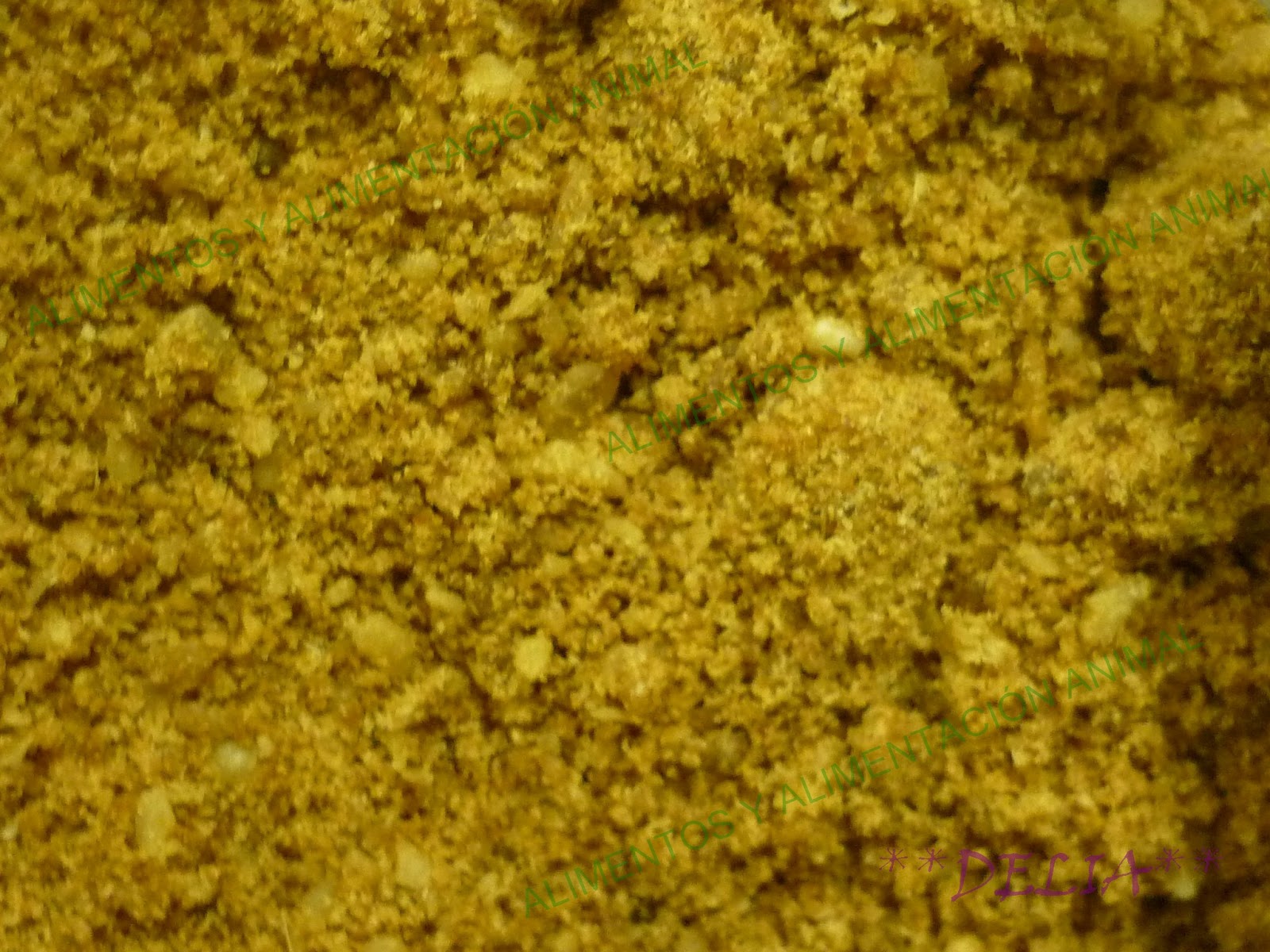 Alimentos y Alimentacion Animal HARINA DE CARNE