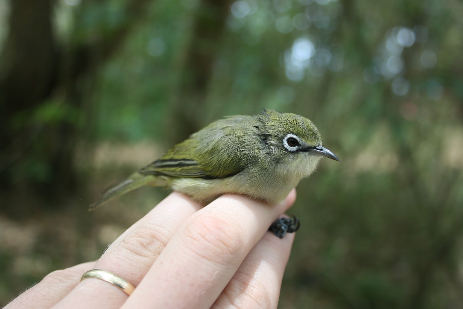 My Time in the Mariana Islands