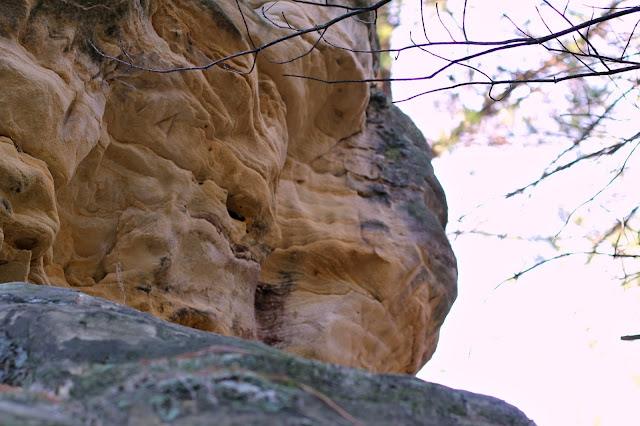 Up close with one of the small bluffs in Mill Bluff State Park, WI