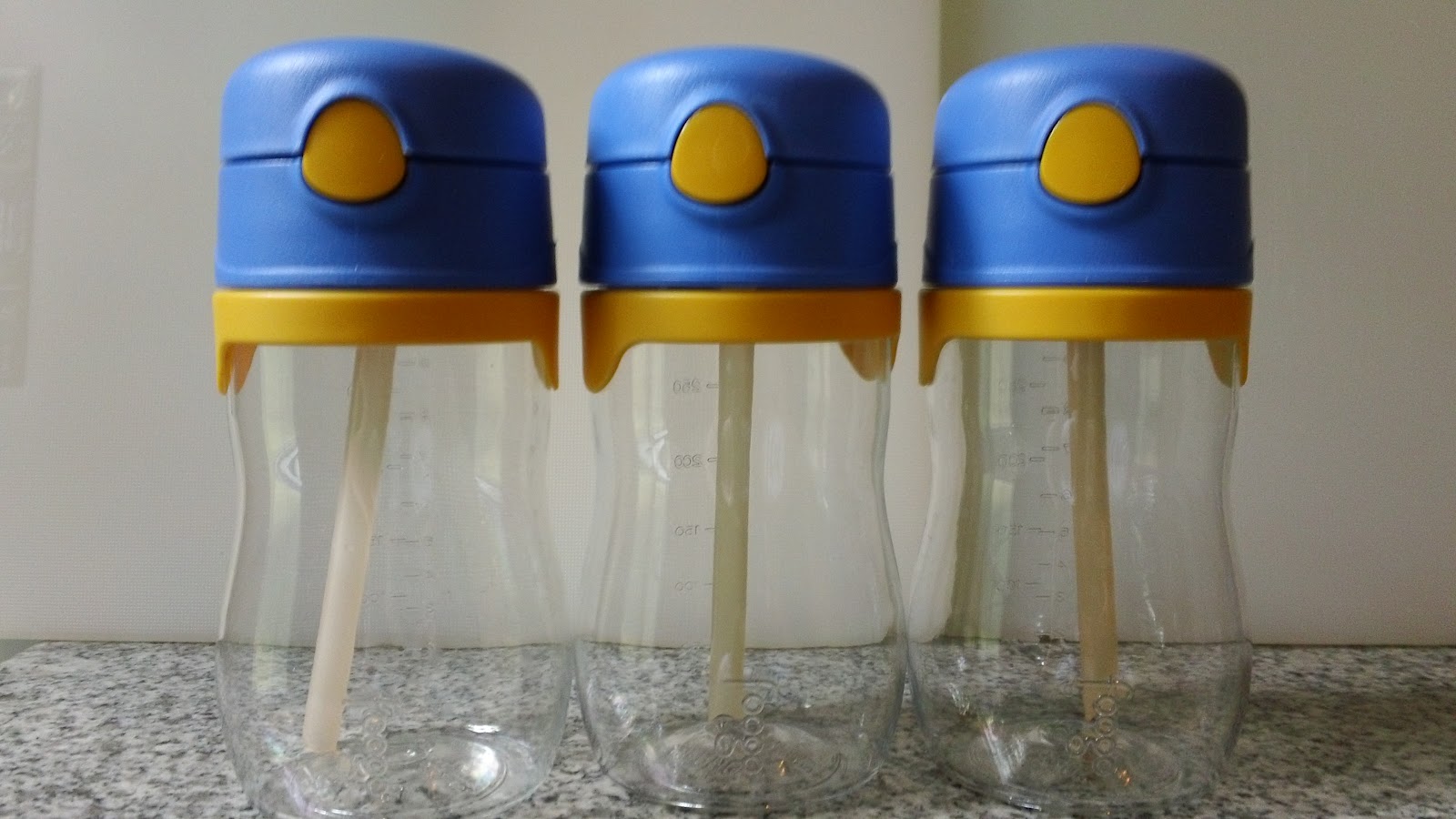 Licious Lunches Foogo Straw Bottles