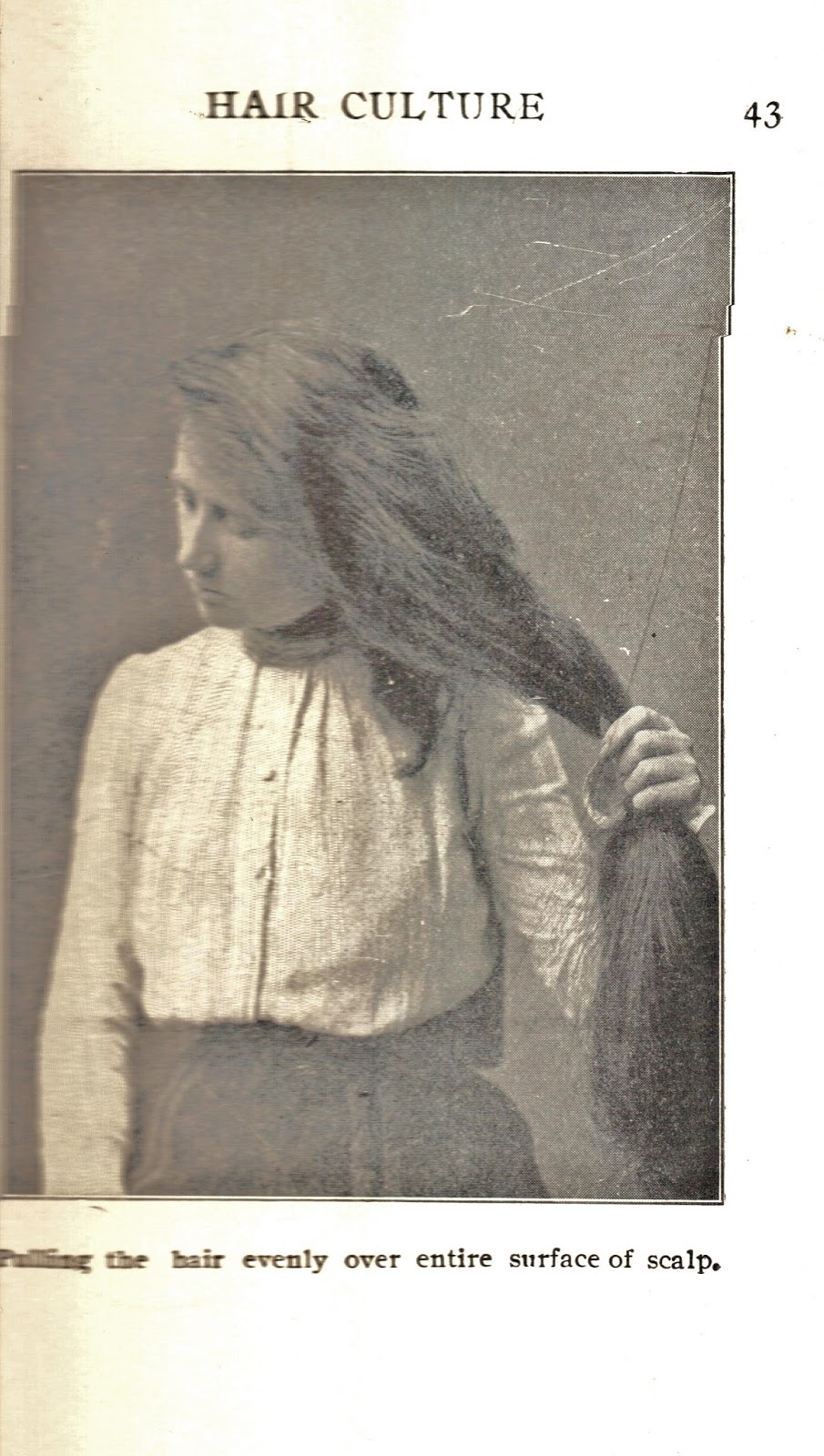 Brickbat Books Featured Hair Culture!