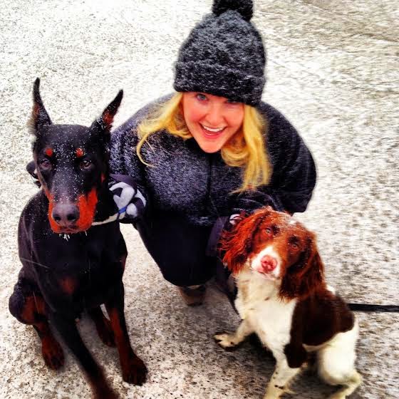 Why We Didn't Adopt Our Dogs Why We Didn't Adopt Our Dogs