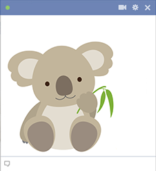 Cute koala sticker for Facebook