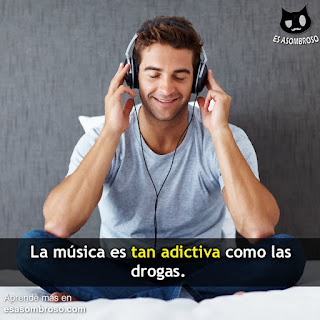 asombroso sexo drogas asombroso sexo drogas