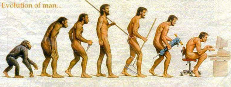 Evolution of Man