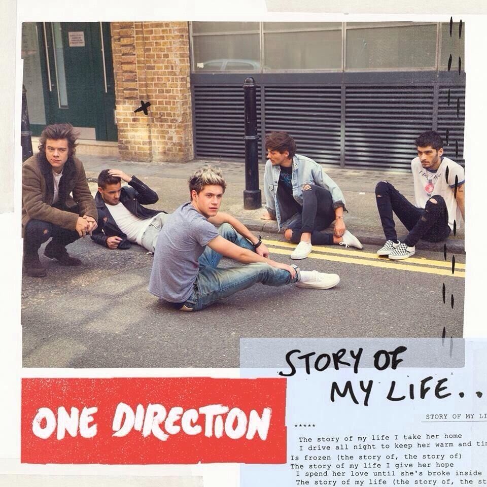 A One Direction ( Zayn Malik, Louis Tomlinson, Liam Payne, Harry Styles, Niall Horan)