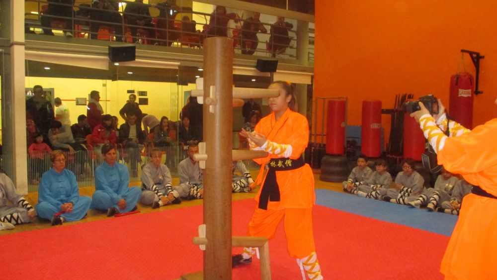 Wing Chun Kung Fu Alcala de Henares - Cursos y Clases 2016 matriculas abiertas.