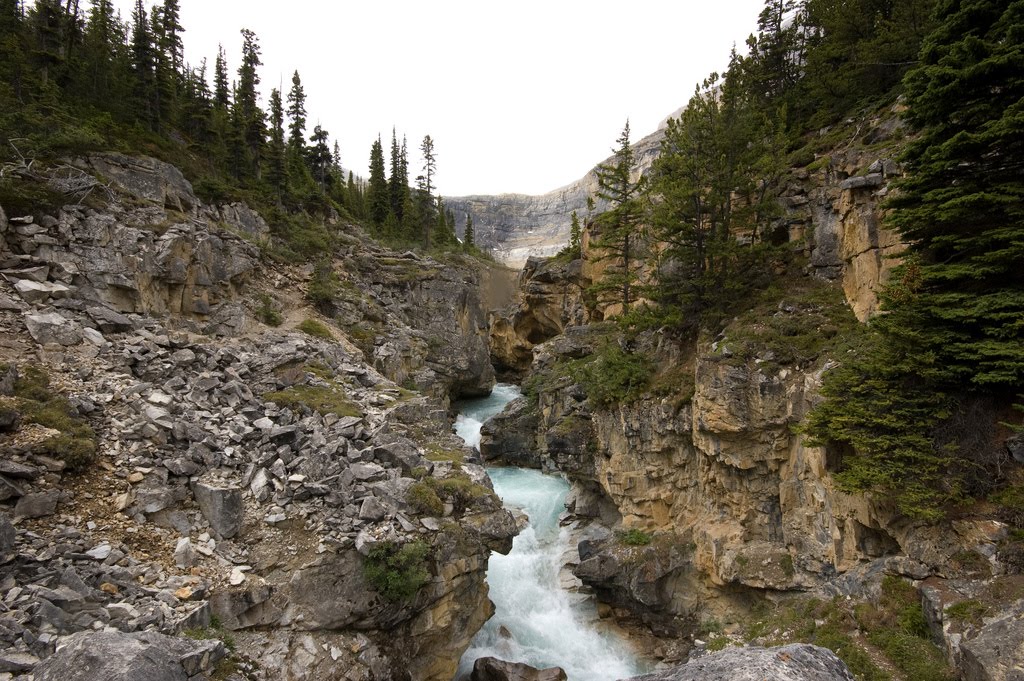 Barbara Martin Hiking Trails Bow Glacier Falls