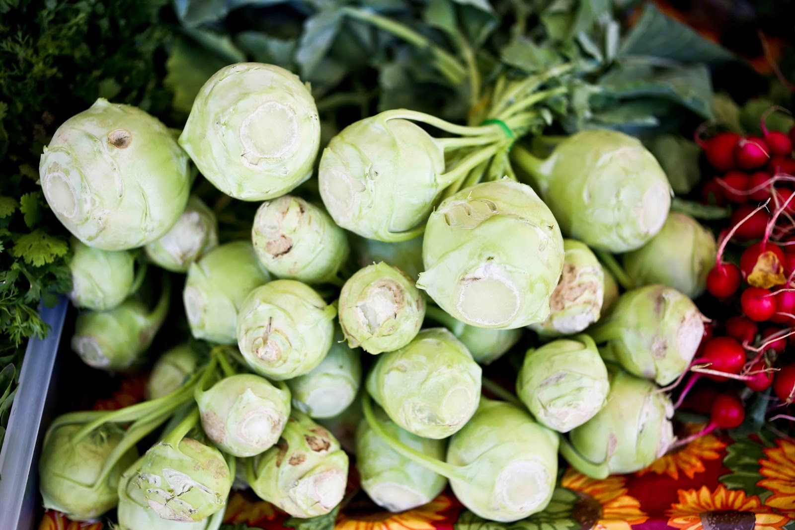 Kohlrabi Salad with Cilantro and Lime