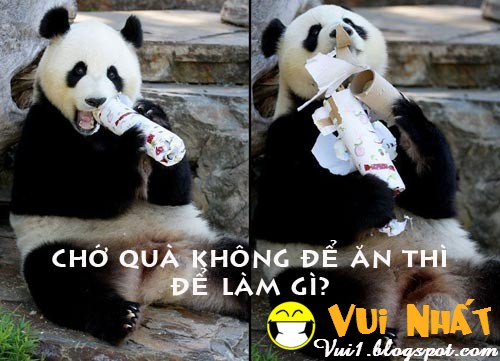 Ảnh vui chú gấu ham ăn Ảnh vui chú gấu ham ăn