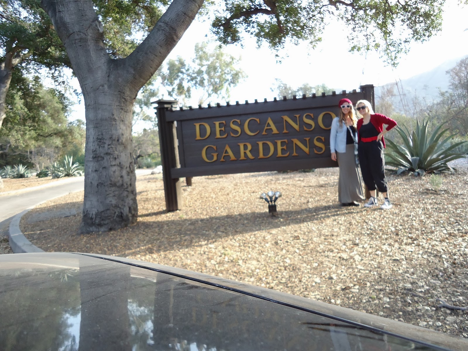 A Horticulturist At Large Descanso Gardens