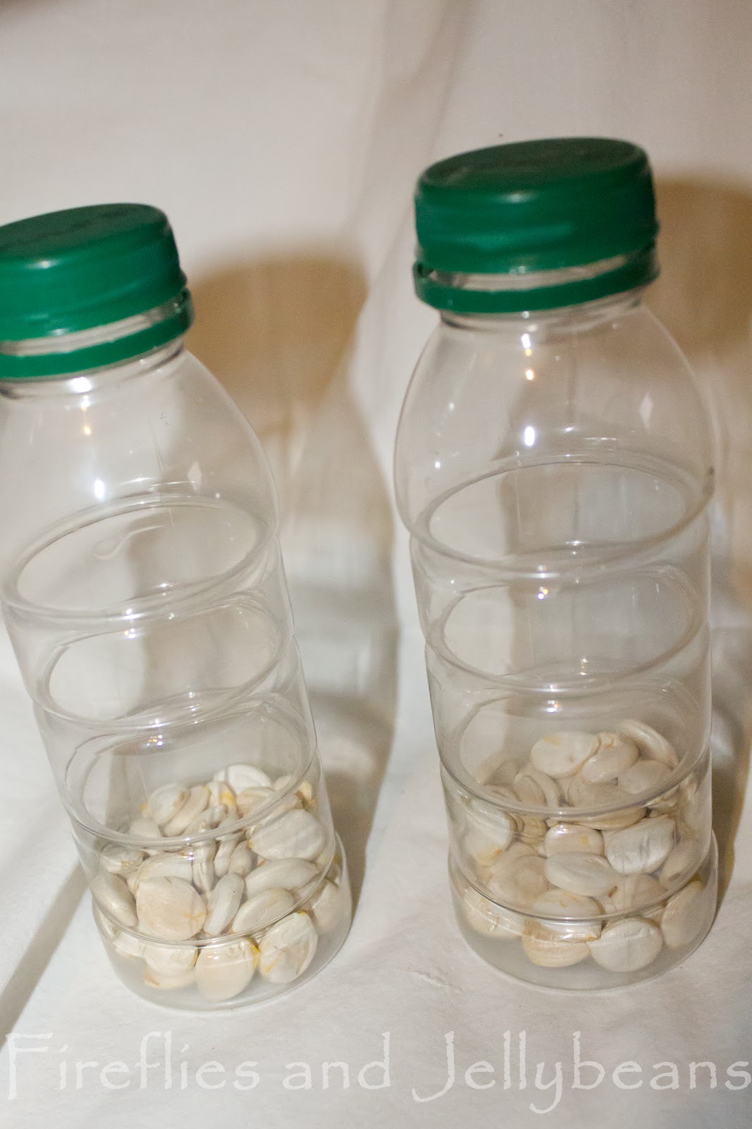 Fireflies and Jellybeans How to Make Shakers from Squash Seeds