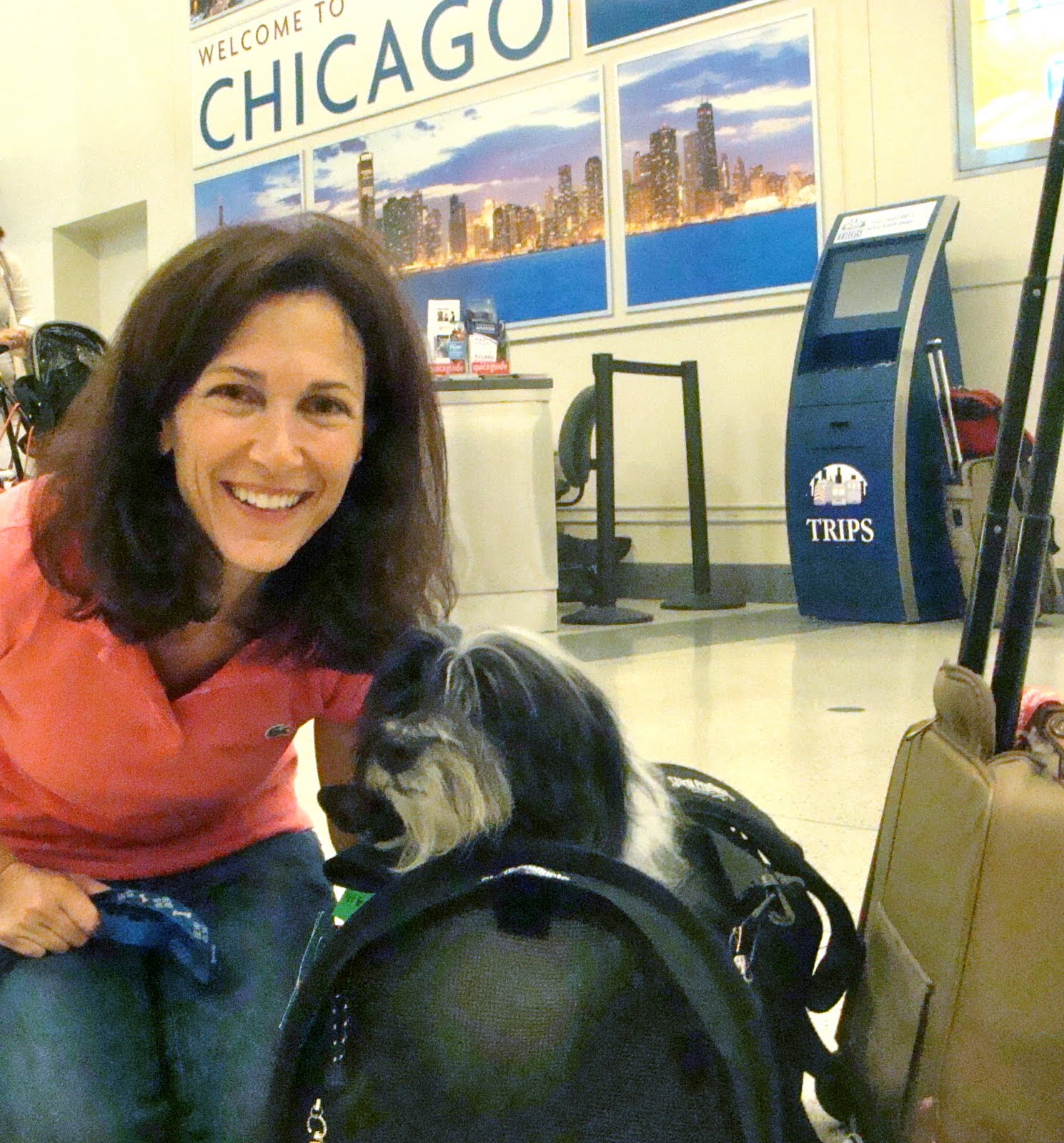 To Dog With Love Giveaway Winner SturdiBag Pet Carrier