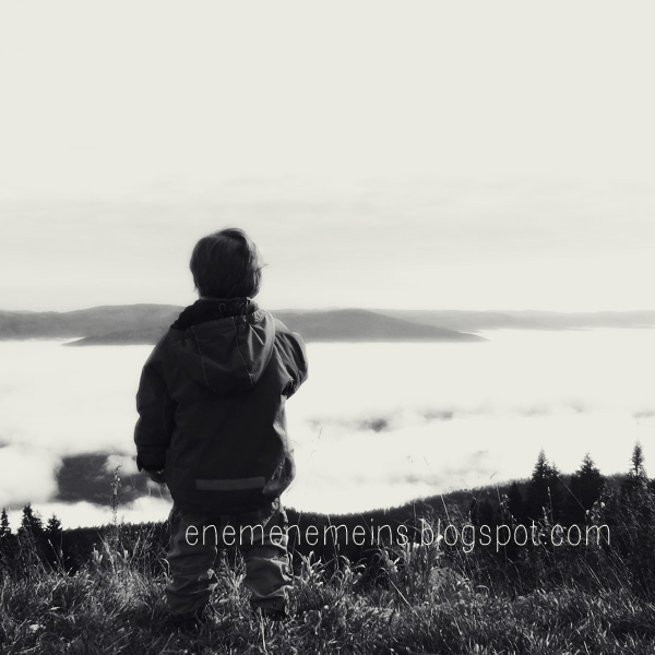 Hotel Paradiese Wo Selbst Chuck Norris Gefallt Mir Sagt Das