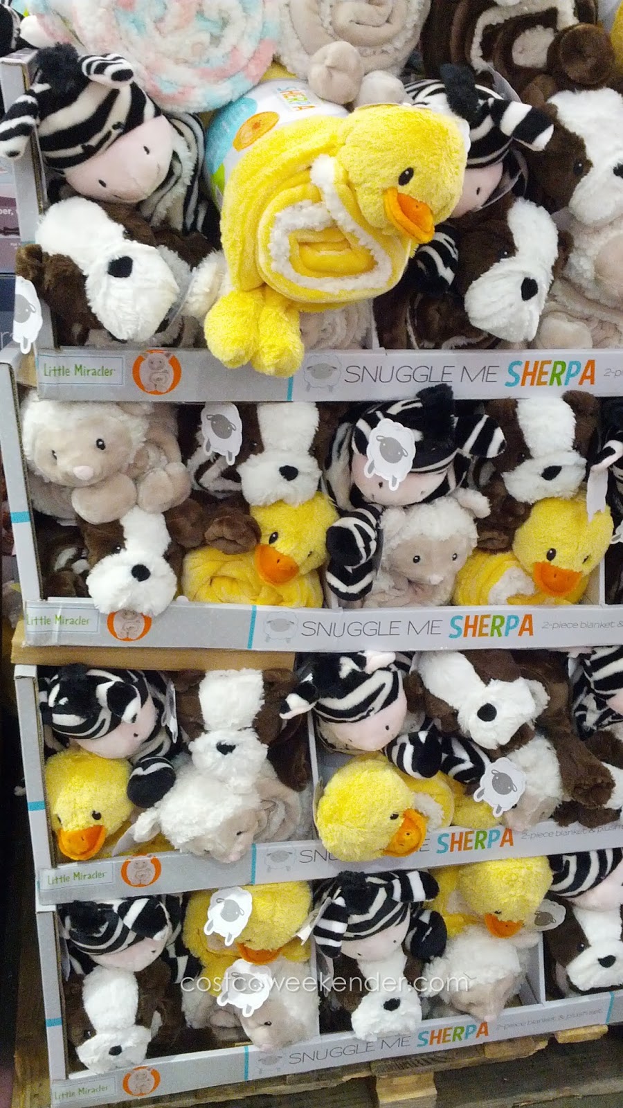 little miracles sherpa blanket