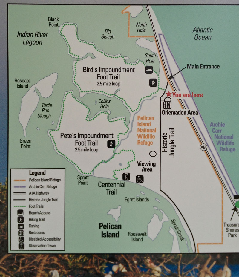Where's Eldo? Pelican National Wildlife Preserve and the Jungle Trail