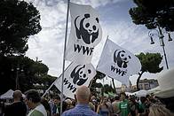 ASSEMBLEA SOCI WWF 2020