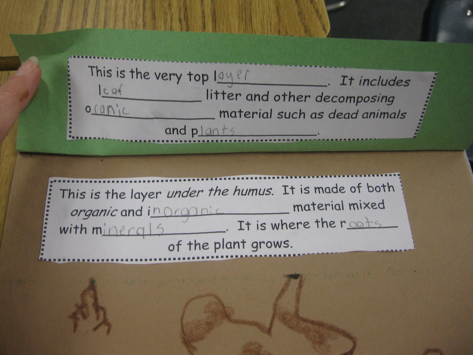 worksheet Soil Layers Worksheet third grade thinkers science a soil study layers of soil
