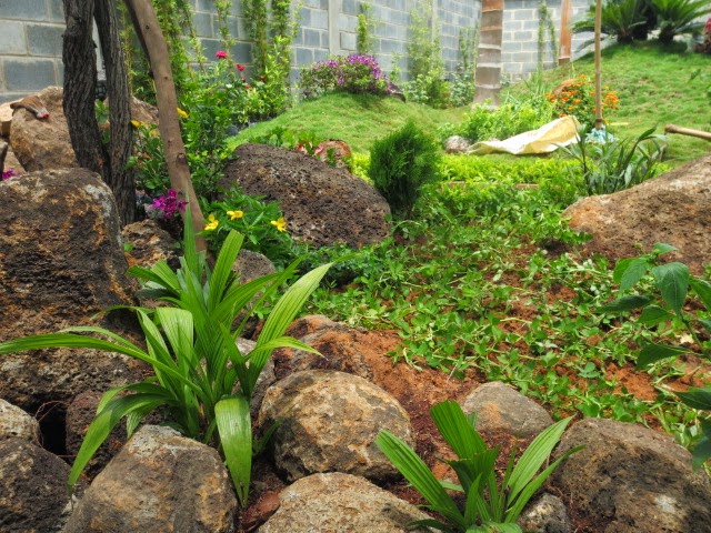 Khuyến mãi tháng 8 - Miễn phí thiết kế sân vườn, bảo hành cây xanh 3 tháng. - 9