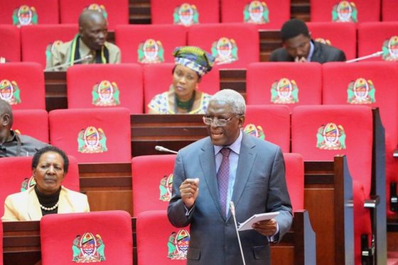 Prof.Mwandosya: Magufuli Hajawahi Hata Kuwa Mjumbe wa Tawi la CCM...Iweje Apewe Urais Leo...