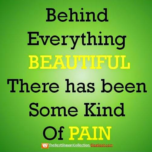 WhatsApp DP Status For Free WhatsApp Profile Picture The Best Shayari Collection