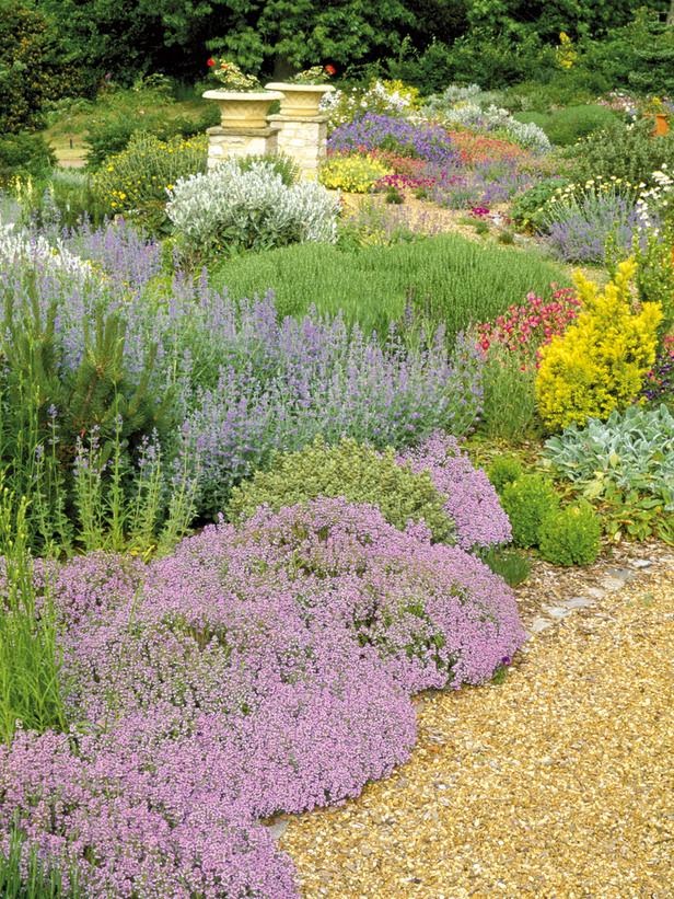 Garden Grumblings