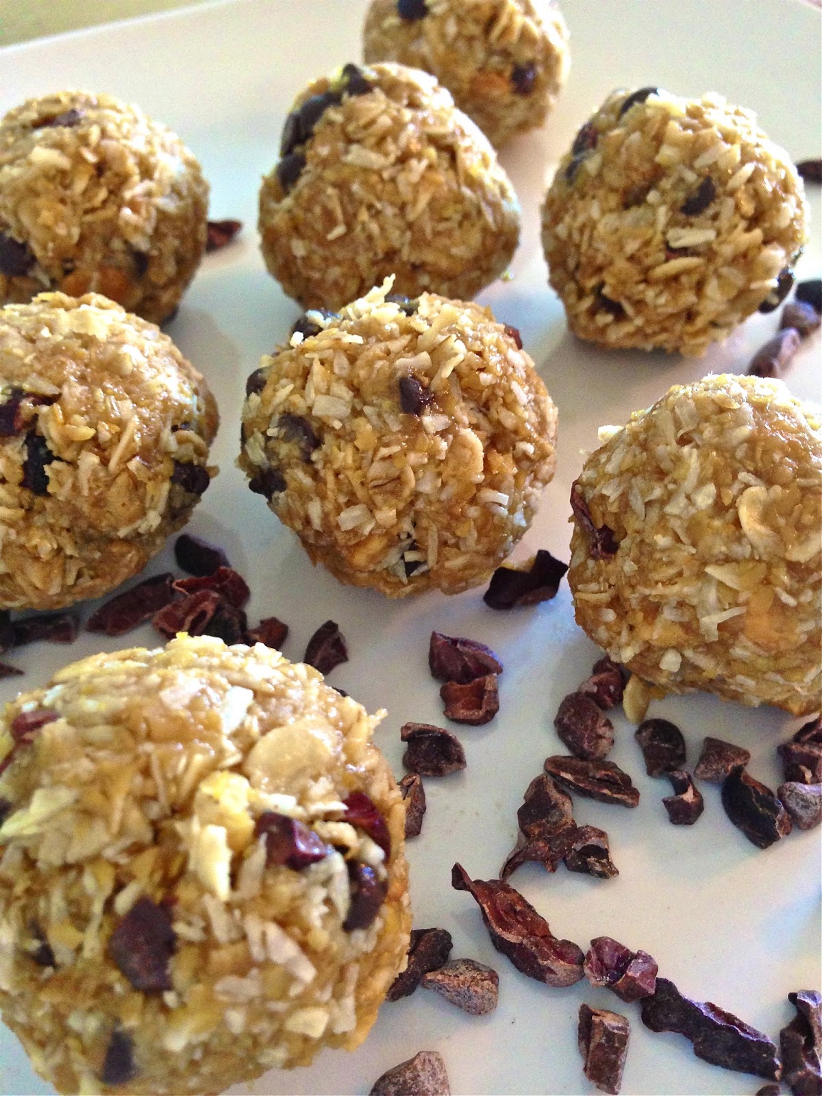 Mary's Busy Kitchen GF & Dairy Free Energy Bites With Cacao Nibs