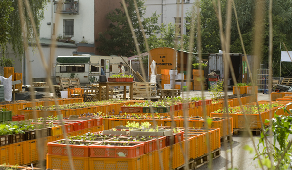 Hansevalley Hansemachine